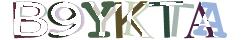 Retype the CAPTCHA code from the image
